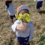 どの子も育つ　みさと幼稚園（三郷市）
