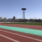 すっとこどすこい株投資