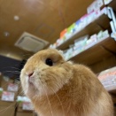 セール二日目！！