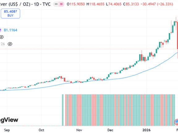 行き過ぎた貴金属人気と急速暴落した流れに対する所見