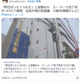 痛いニュース(ﾉ∀`)