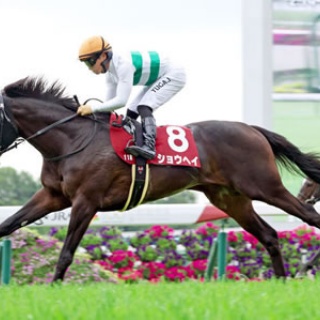 ☆うまなみ・競馬にゅーす速報