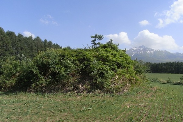 空白つれづれ草 旧陸軍第八師団