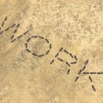 「働くアリ８割：サボるアリ２割」　働くアリが疲れた時に交代する為ｗｗ