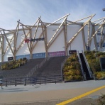 かわうそ、だもんで。