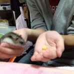 ★☆☆(｀・ω・´)(´ω`)(´・ω・｀)☆☆★