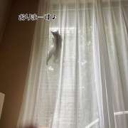 今年の脱走柵登り