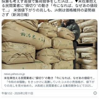 ゲートボール】カイザー「刃鬼」（DS期） : あらけんのひとりごと（仮）