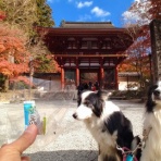ひろいびと 清掃登山犬達と三重県の山ゴミ拾い清掃活動記録