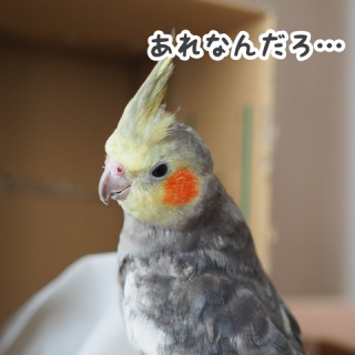 NEW!ユニブログ