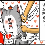 注目あびるの大好きな猫