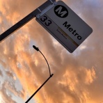 テネシー駐在生活→息子のカリフォルニア留学【ポンコツ帰国子女のリアルなその後】