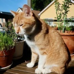 だいじろう日和。