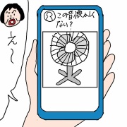私は今日もAmazonに飛ぶ