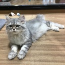 本日の主役！
