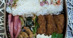 大葉育たなかった～夫のお弁当277