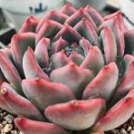 ここに居ることが全て。