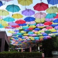 2025城町アンブレラスカイを撮ってきました☂️📸（館林市）