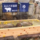 西日本人「栃木県に行ったことがない。東北に行くより楽しくなさそう」