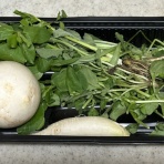 てつ校長のひとり言