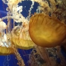 バイクで鴨川シーワールド 曇りのち晴れ、冷たい風に負けるな