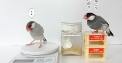 コンビが変わっても変わらないものがある