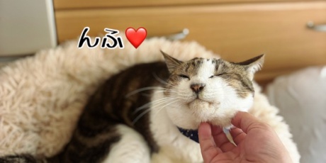 ♡シュウさま♡ 猫とお酒と日々のこと - シュウ様 Powered by ライブドアブログ