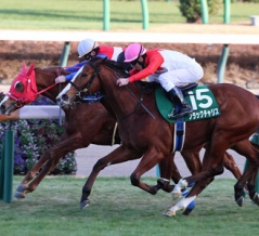 ブラックチャリス（26/01/11・第42回 フェアリーステークス・中山競馬場）