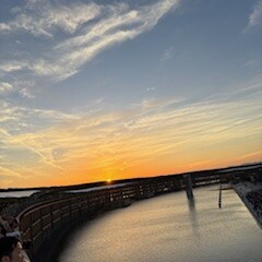 かけこみ万博➁。