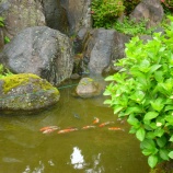 『久しぶりの雨』の画像