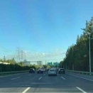 9月になって交通量も増えた気がする
