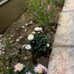 八千代緑が丘皮フ科専門医　おちあい皮膚科クリニック