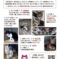 【里親さん募集中】