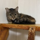 ハルちゃん、はじめまして