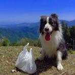 ひろいびと 清掃登山犬達と三重県の山ゴミ拾い清掃活動記録