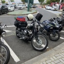 VIBES INDEPENDENCE DAY 2026