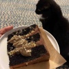 【ご飯日記】グルメフードが好きだ・ほうじ茶チョコケーキ・Eat Local
