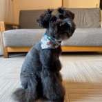 オーチャンネル☆