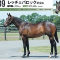 【キャロット】勝手に募集馬見解 その64 レッチェバロックの24