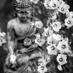 ◇◆ 天才軍師・勘助の株式風林火山！with GS ◆◇