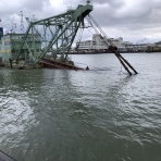 すっとこどすこい株投資