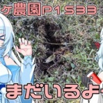 Next days ~ マイペース農業