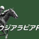 『【掟破りの金になる話】サウジアラビアＲＣ(G3)』の画像