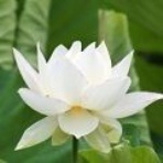 前世占い師エティースの心霊ブログ