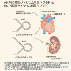毎日の勉強記録