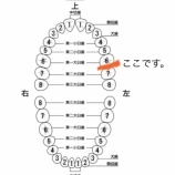 『すごく気になること(1)』の画像