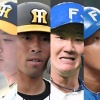 【トレード】ハムファン集合