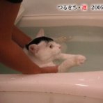 裏つるきち