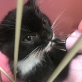 両親が事故で亡くなり、姉が叔父を怪しんでいると姉も事故ﾀﾋ。犯人が捕まらないまま時間だけが過ぎていったが、両親の１回忌でベロンベロンに酔っ払った叔父が口を滑らせて・・・