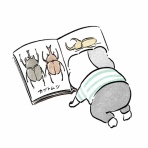 アンリの絵日記